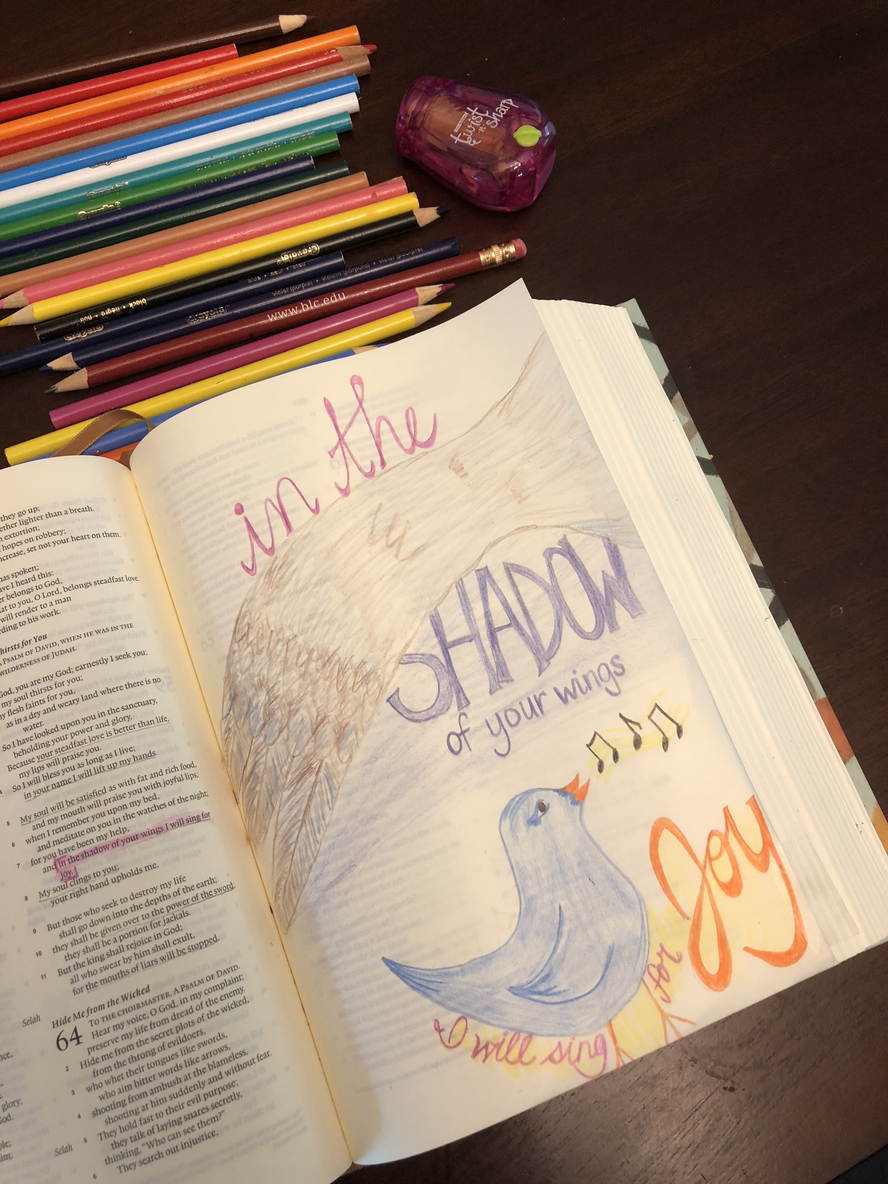 gD4rgHjcSUqx3KqacZ+tFQ